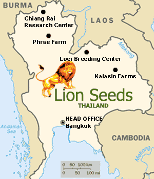 Lion Seeds Locations