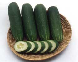 Cucumber' Guide