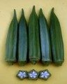 okra-cks-2<empty>
