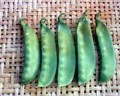 peas-no-14