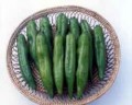 chili-pepper-196