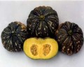 squash-4402