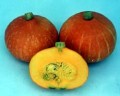 squash-4403