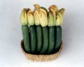 zucchini-1211