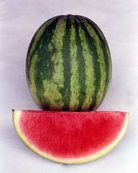 Watermelon - Growers' Guide