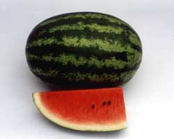 Watermelon - WM 148