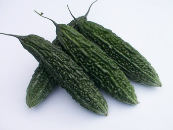Bitter Gourd - BG 4710