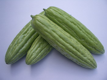 Bitter Gourd - BG 4712