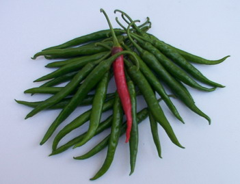 Pepper - PE 4652