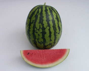 Watermelon - WM 185 Chutchai