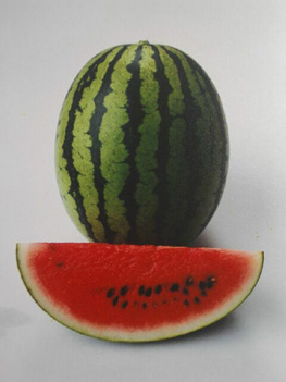 Watermelon - WM 188 Watermelon - WM 188 Te-Wee