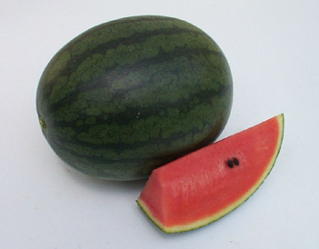 Watermelon - WM 4113 Karat