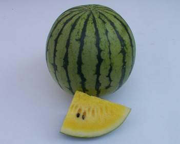 Watermelon - WM 4118