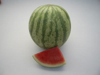 Watermelon - WM 53 Watermelon - WM 53