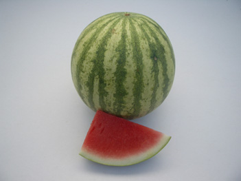 Watermelon - WM 54 Watermelon - WM 54