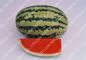 Watermelon - WM 182