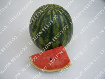Watermelon 4142