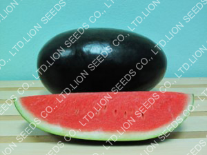 Watermelon - WM 4155